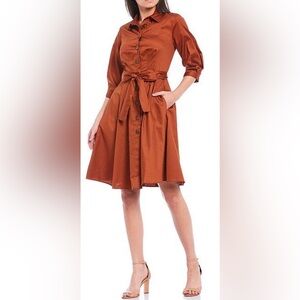 Donna Morgan Rust Midi Dress
